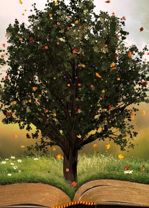 1691666705899_DAivhJHy1gxKyv1o